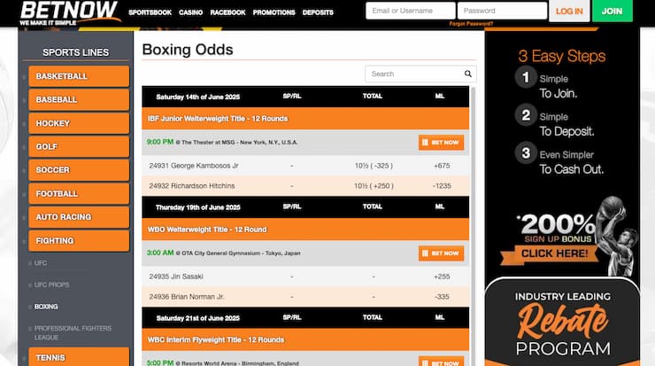 A snapshot of BetNow, one of our top rated boxing betting sites. 
